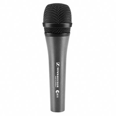 Microfono profesional de mano para voz 