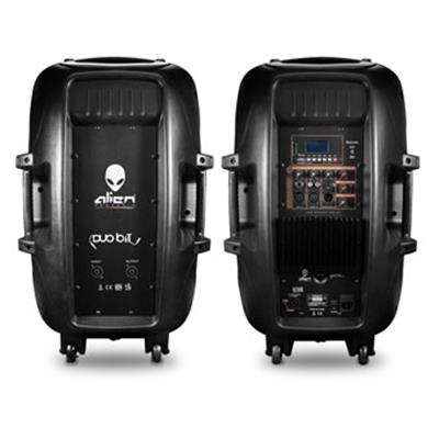 Potente equipo de 2 bocinas 15″, amplificada y pasiva. Ideal para eventos, incluye entrada XLR para micrófono y AUXILIAR, así como conectividad vía USB, Bluetooth y Radio FM