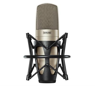 vocal/instrumento, condensador, cardioide