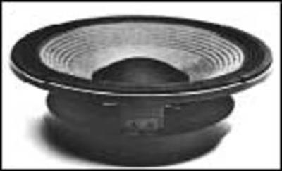 ALTAVOZ 12" 600 WATTS