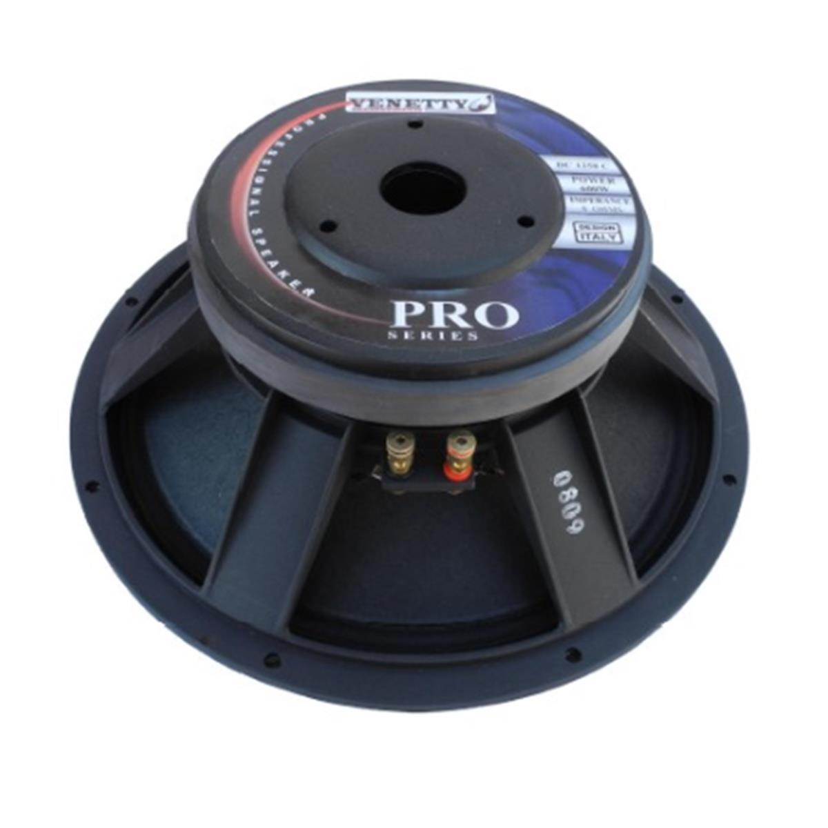 BOCINA DE ADUIO PROFESIONAL DE 12" 300 WATTS RMS CON BOBINA DE 3" IMAN DE FERRITA 