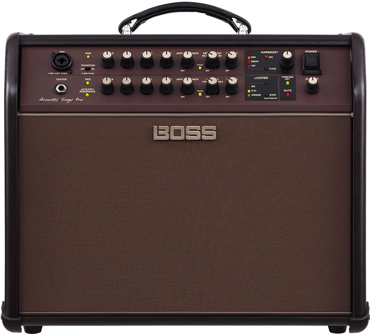 Amplificador Cantante Acustico (combo) Pro  1x8″ 1x1″ (100w + 20w)